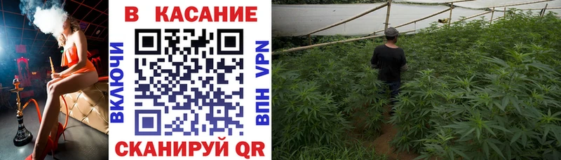 Купить СОЛЬ  Бошки Шишки  АМФЕТАМИН  ГАШИШ  Cocaine  Мефедрон  Кедровый