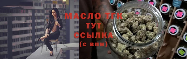 спиды Горняк