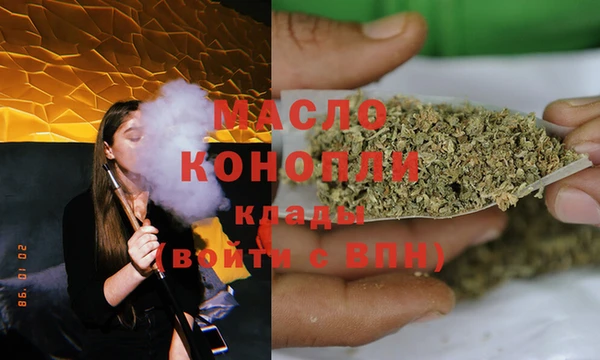 винт Гусь-Хрустальный