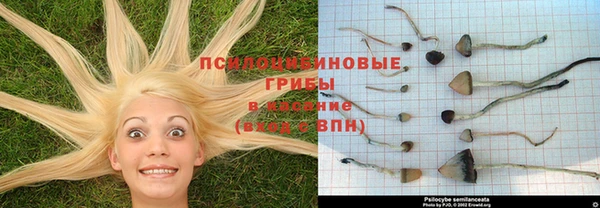 амфетамин Горнозаводск