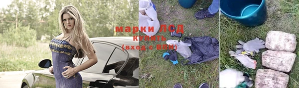спиды Горняк