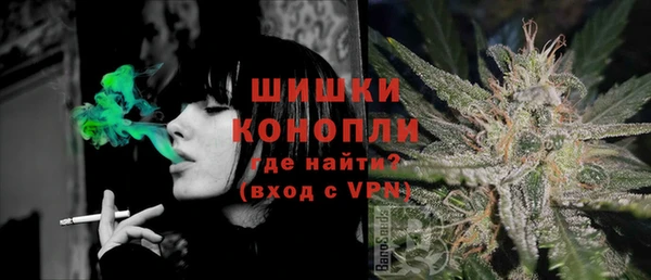 спиды Горняк