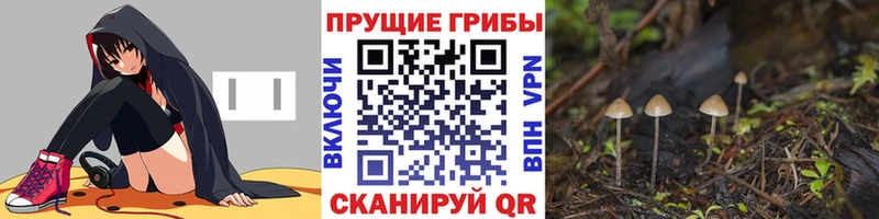 Псилоцибиновые грибы прущие грибы  Купить закладки  Кедровый 