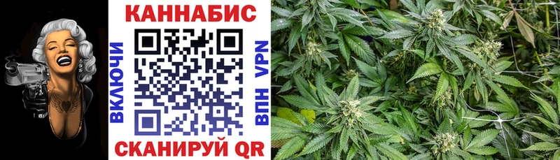 Канабис SATIVA & INDICA Купить закладки Кедровый